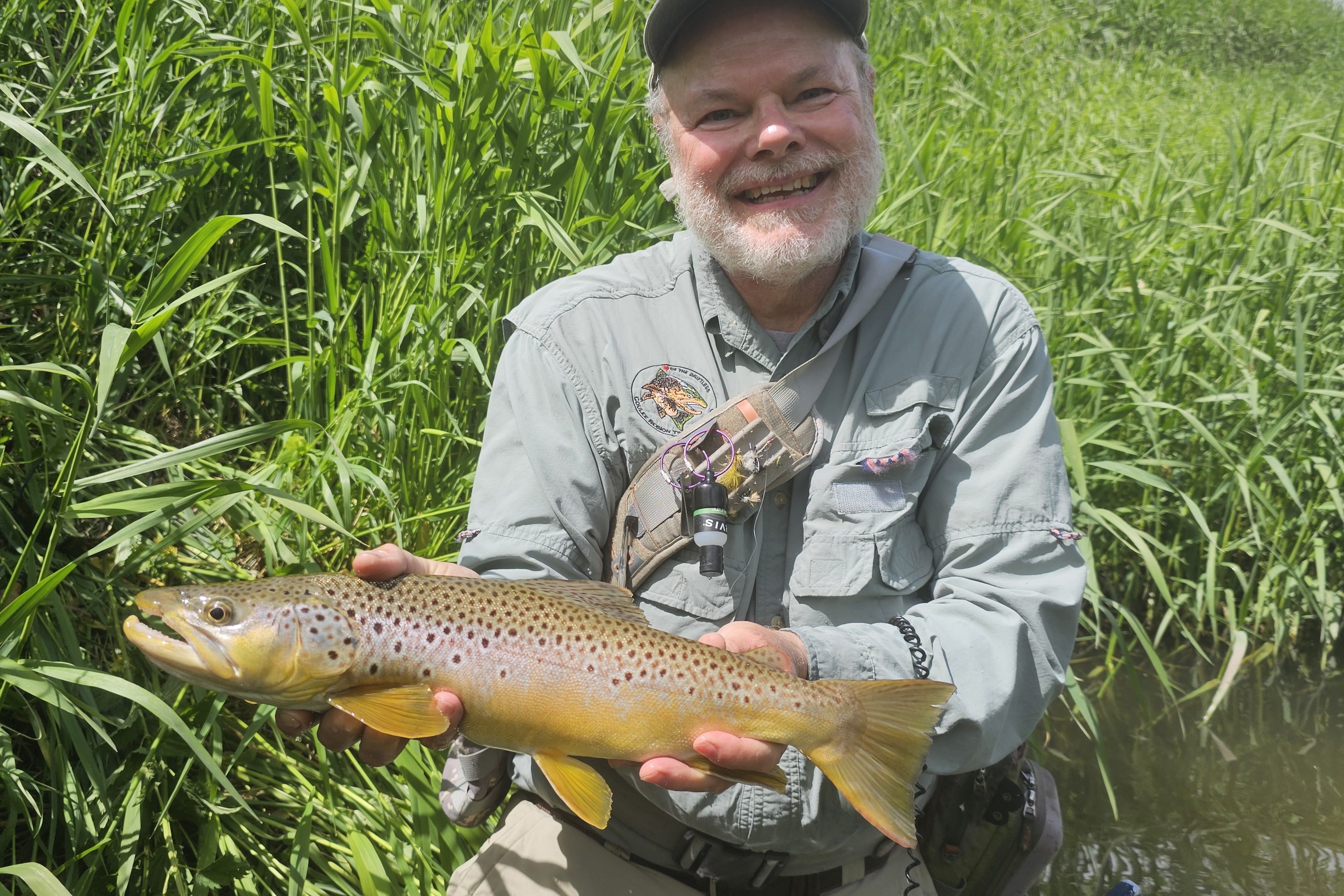 Big Brown Trout from Small Creek
