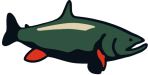 Brook Trout Icon