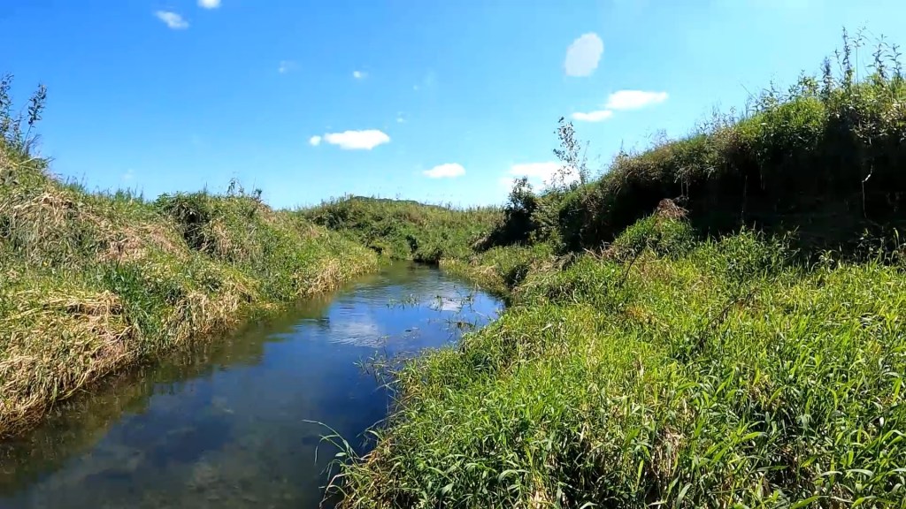 Picture of Trout Stream
